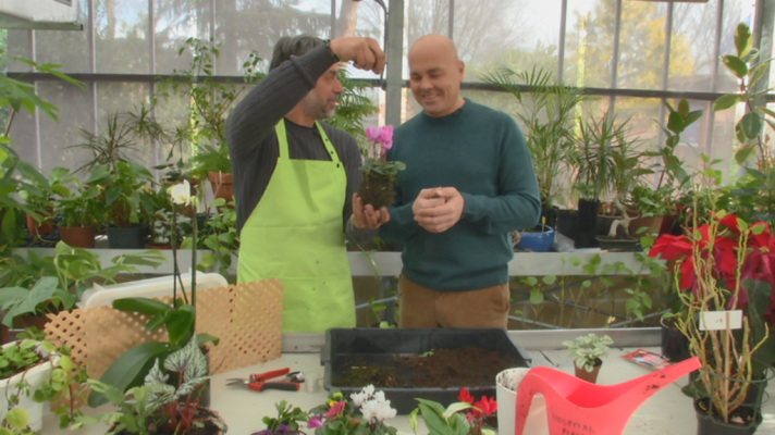 Aquí la Tierra - Cómo hacer una kokedama