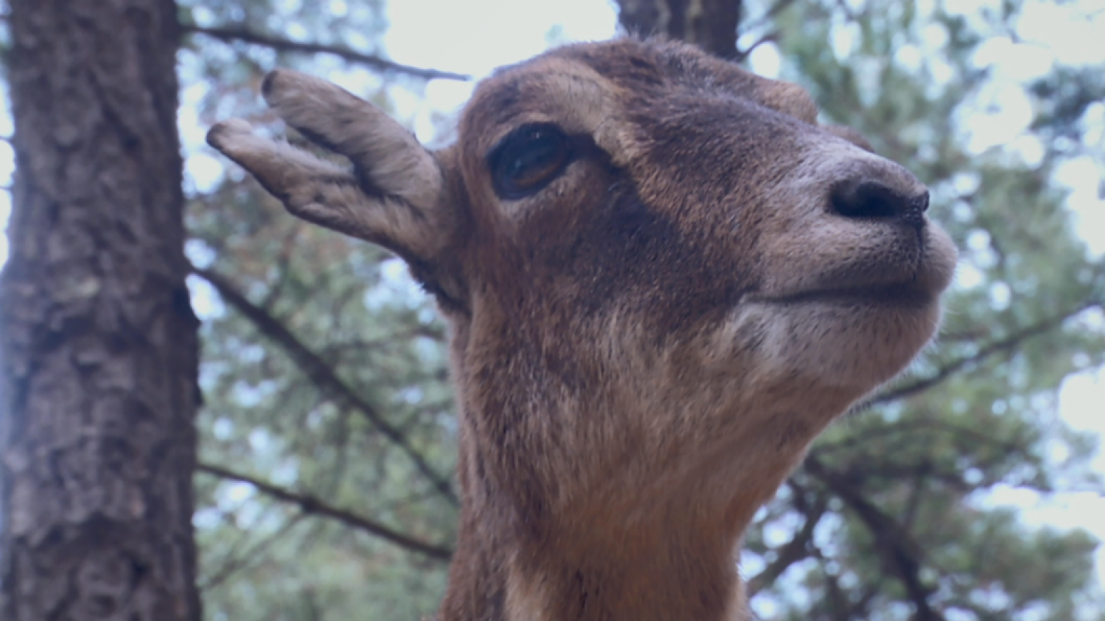 Visitamos la eco reserva de Ojén
