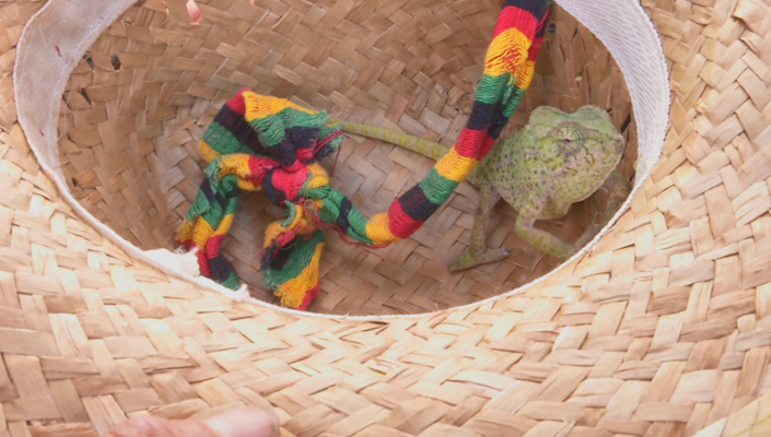 Aquí la Tierra - Aquí la Tierra - 08/02/19