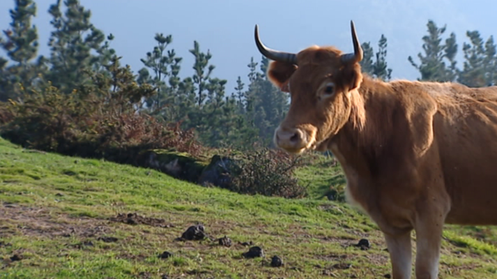 Agrosfera - Agrosfera - 09/02/19