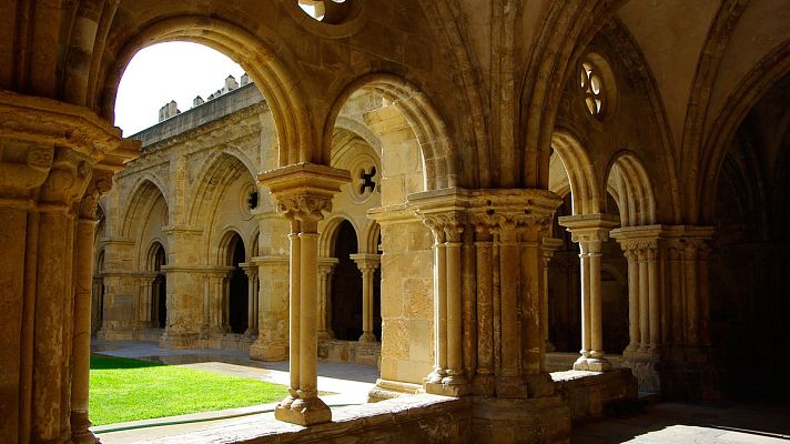 Telediario 1 - Una especie desconocida hasta ahora de hongo amenaza la Catedral Vieja de Coimbra
