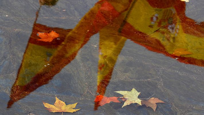 Telediario 1 - Los convocantes de la manifestación de este domingo en Madrid quieren ir más allá de las siglas para reclamar "elecciones ya"