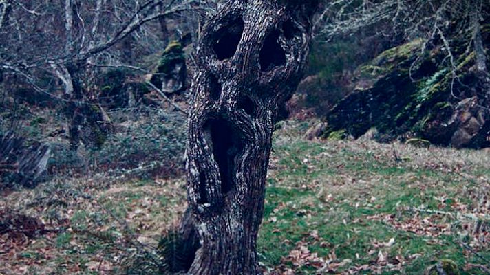 Días de cine - 'Trinta lumes'