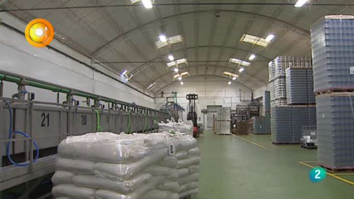 Agrosfera - Envasado cidaco y Plato Pochas