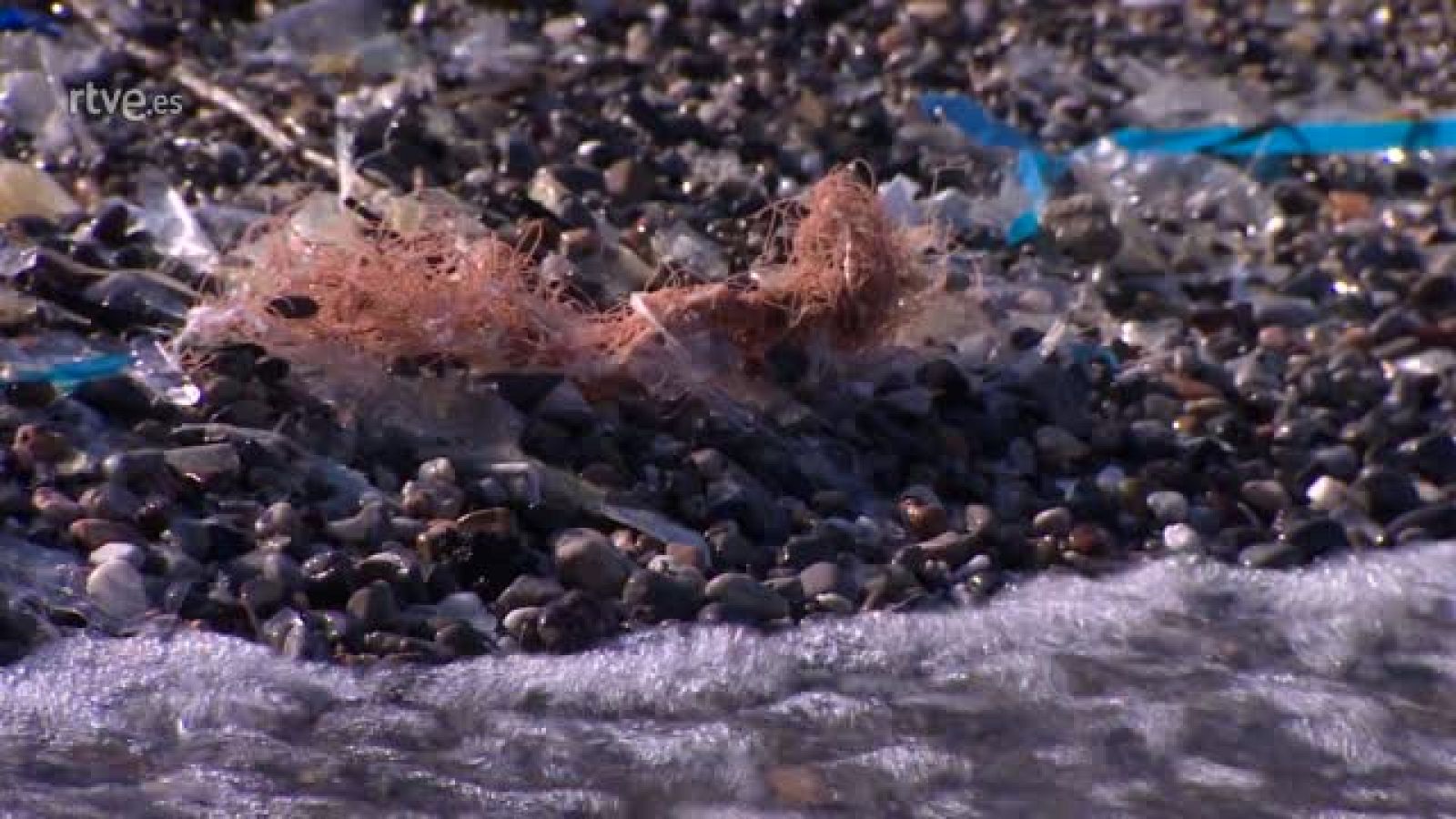 ¿Cuánto tiempo crees que tarda en descomponerse el plástico? - En portada | Ver