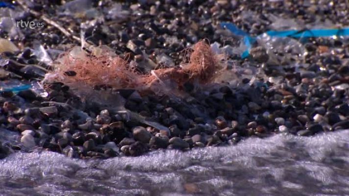 En portada - ¿Cuánto tiempo crees que tarda en descomponerse el plástico?