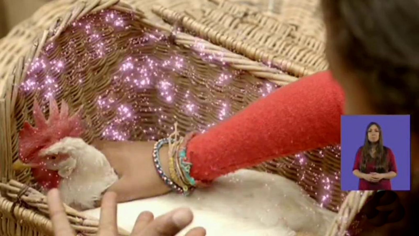 Warqa, la gallina que no ponía huevos - Jamillah y Aladdin | Ver