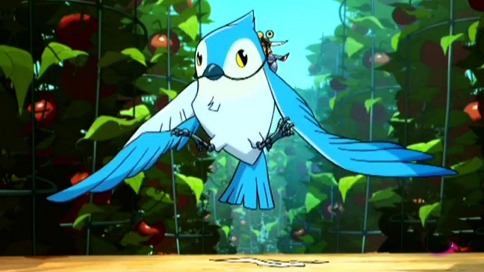 Cómo entrenar a tu herrerillo - Turbo Fast | Ver