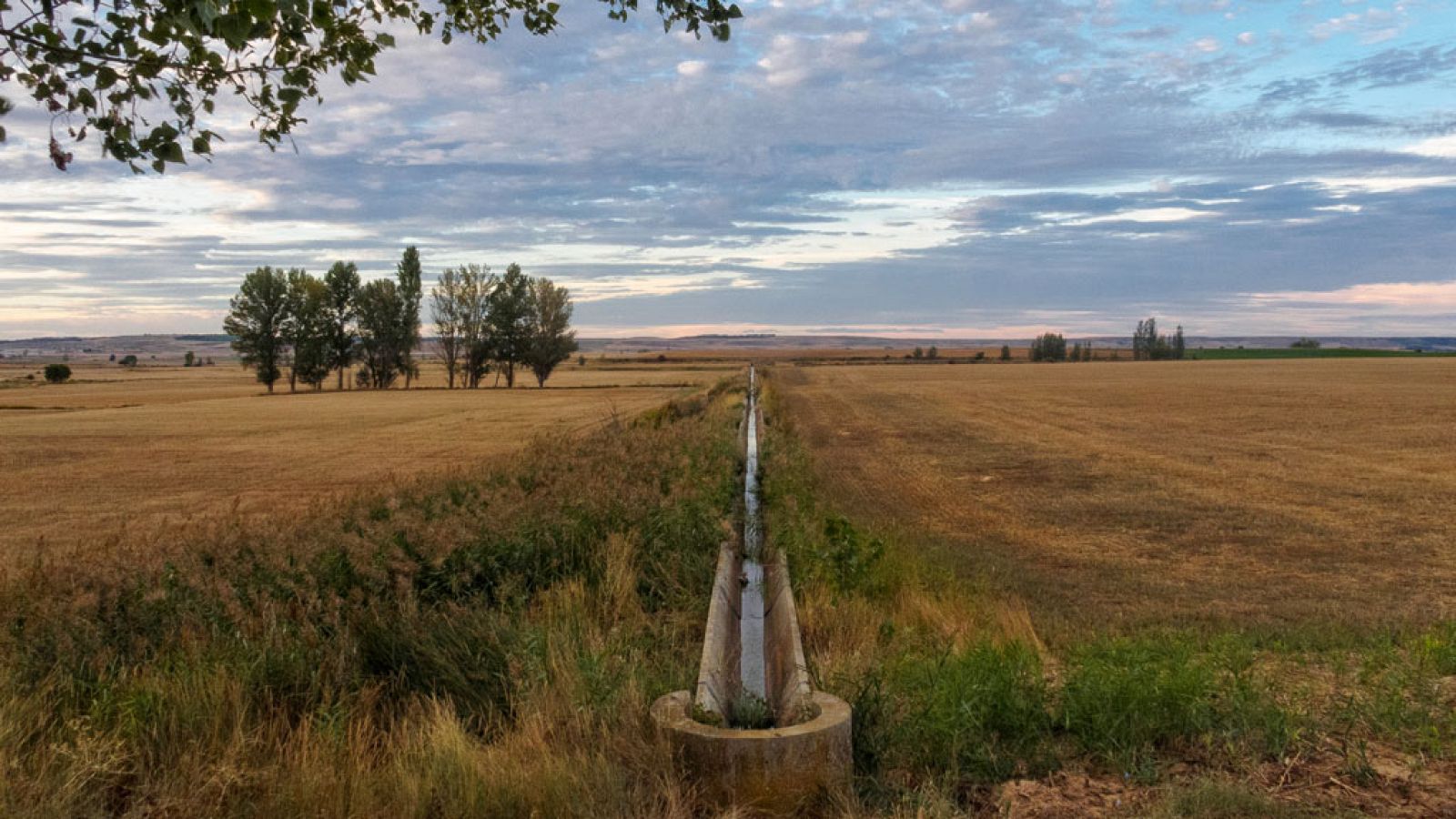 El Tiempo en la Comunidad de Madrid - 13/02/19 - ver ahora