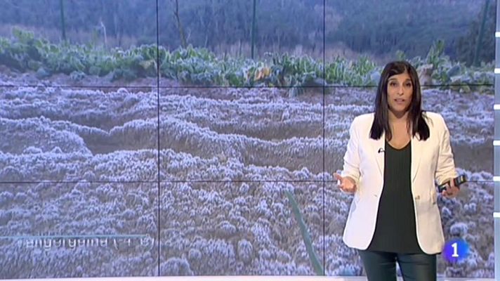 L'Informatiu - El Temps - 13/02/2019