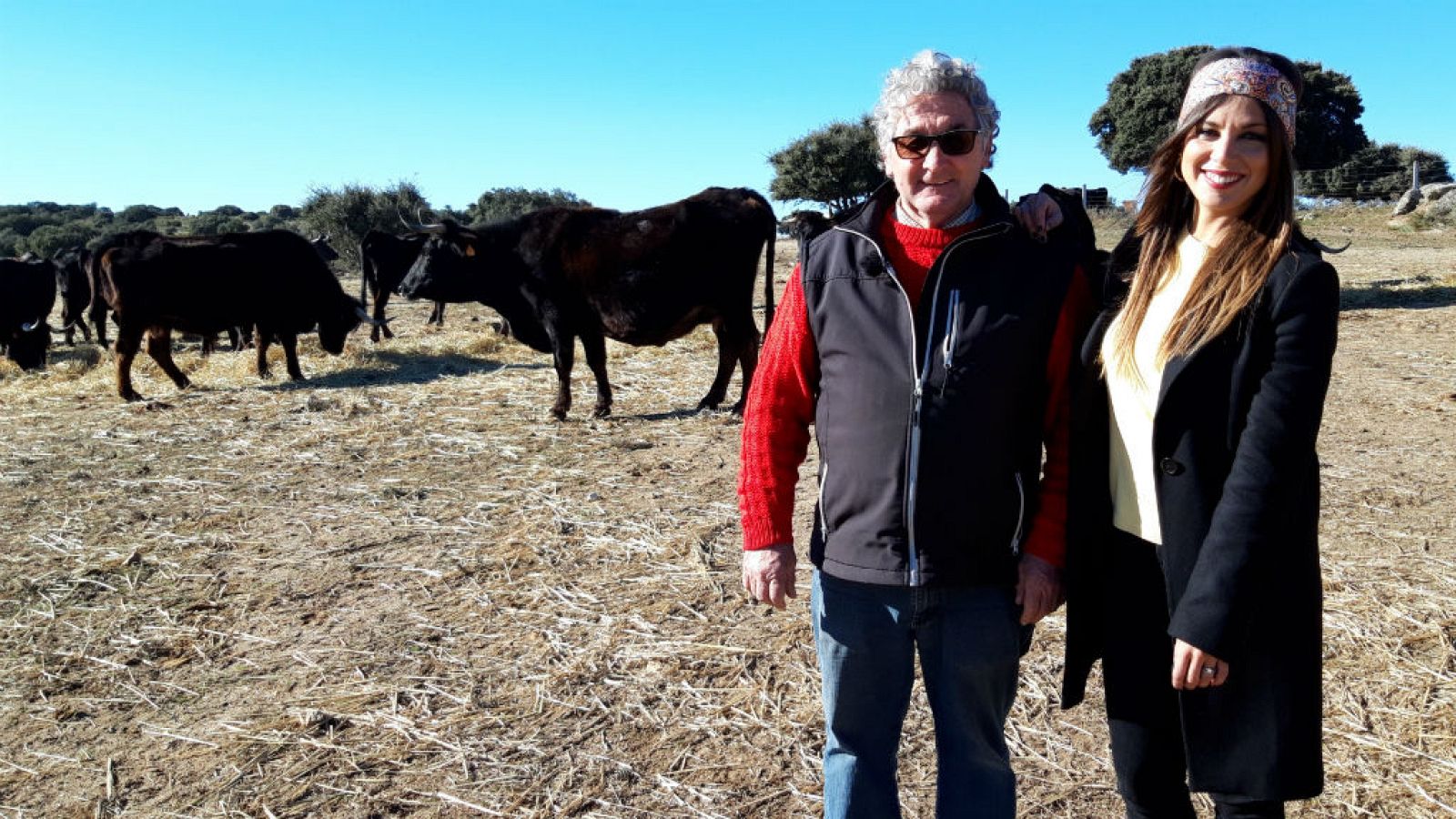 La vaca sayaguesa es toda una superviviente