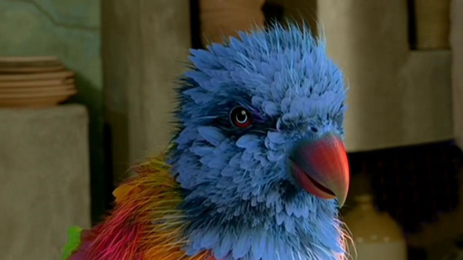 El pájaro del tesoro parlante - Jamillah y Aladdin | Ver