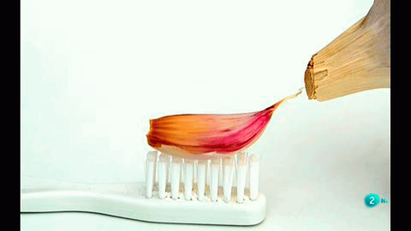 La aventura del saber. Boek visual David Santaolalla Cebolledo