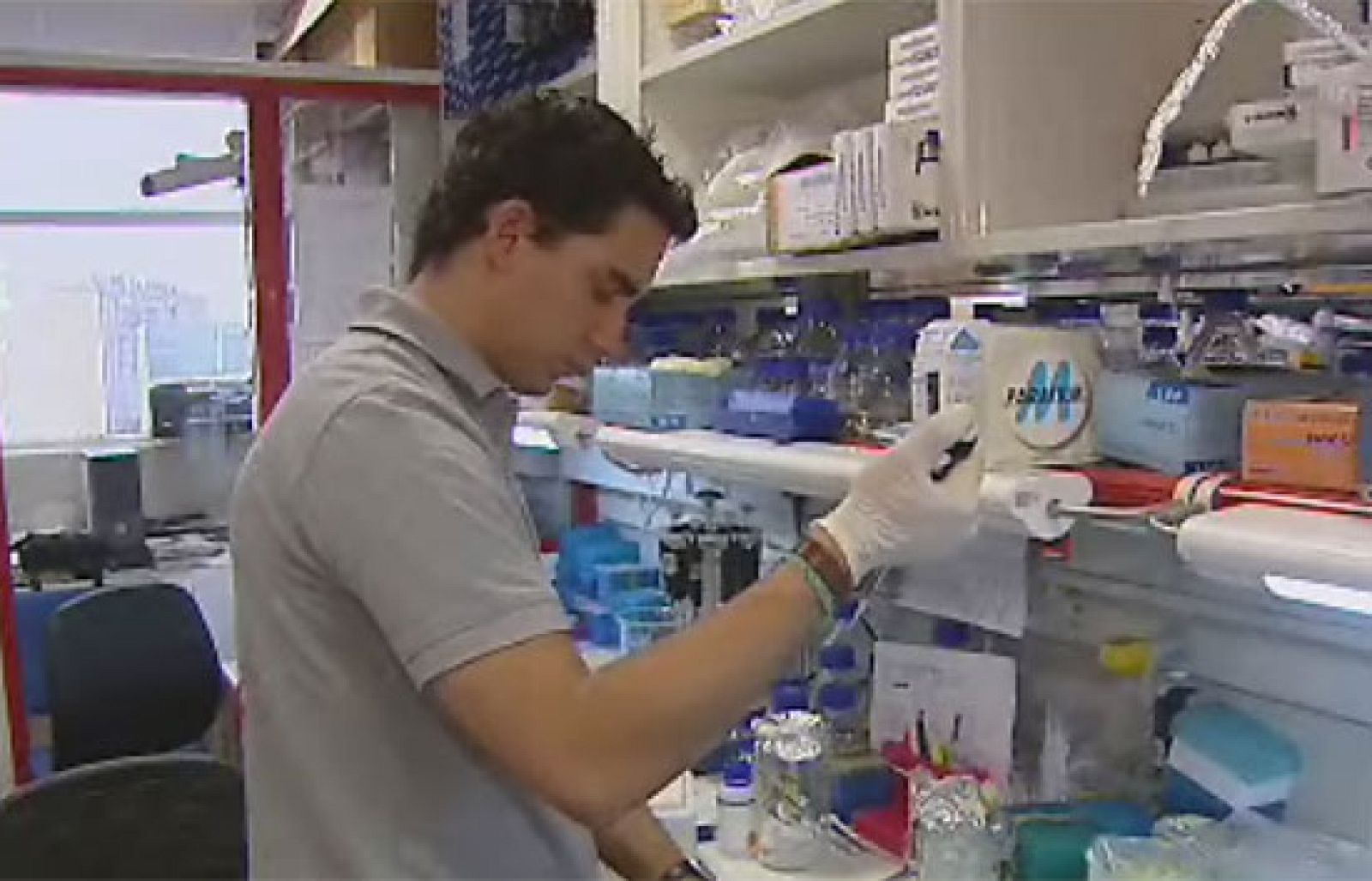 Sólo dos de cada diez ofertas de empleo están en los sitios habituales donde se busca trabajo | Ver