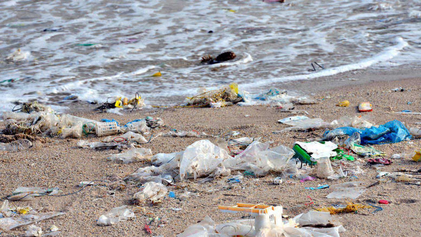 En el año 2050, de seguir a este ritmo, habrá más plástico en el mar que organismos vivos