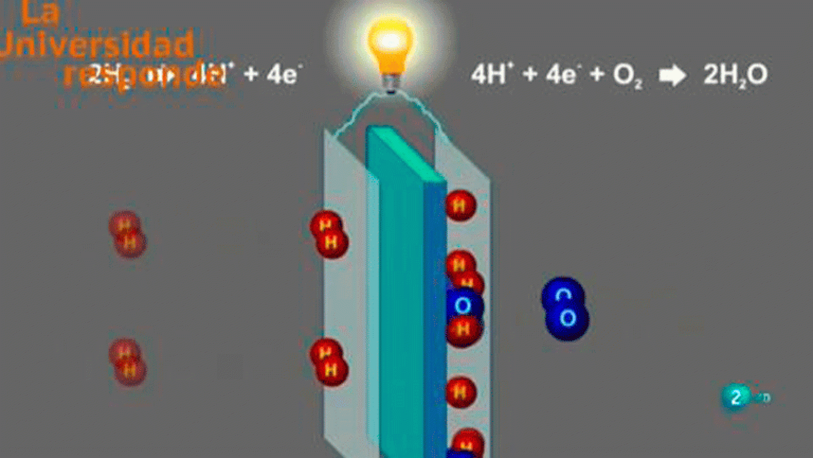La aventura del saber La Universidad Responde. Universidad de La Laguna: ¿Qué son las pilas de combustible?