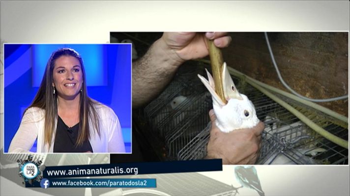 Para todos La 2 - Los derechos de los animales según la ong Anima Naturalis