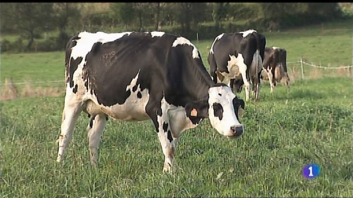 Panorama Regional - Panorama Regional 2 - 14/02/19