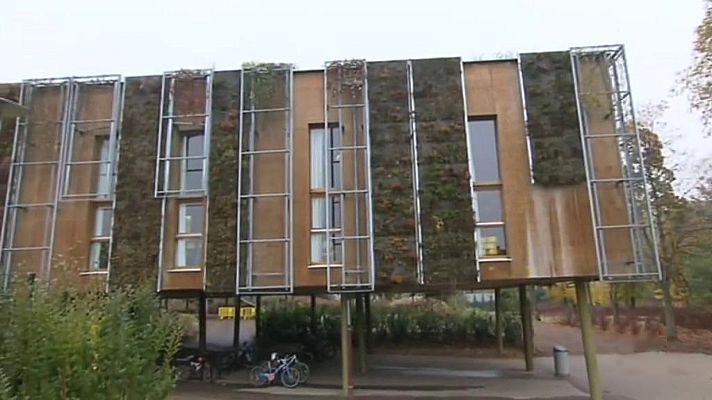 Otros documentales - Construcciones ecológicas: La Eco-construcción y los árboles