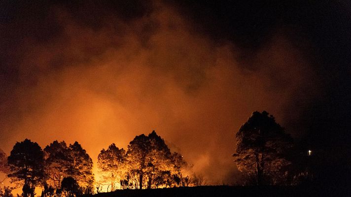 Informativo 24h - Estabilizado un incendio declarado en La Palma tras la aparición de la lluvia