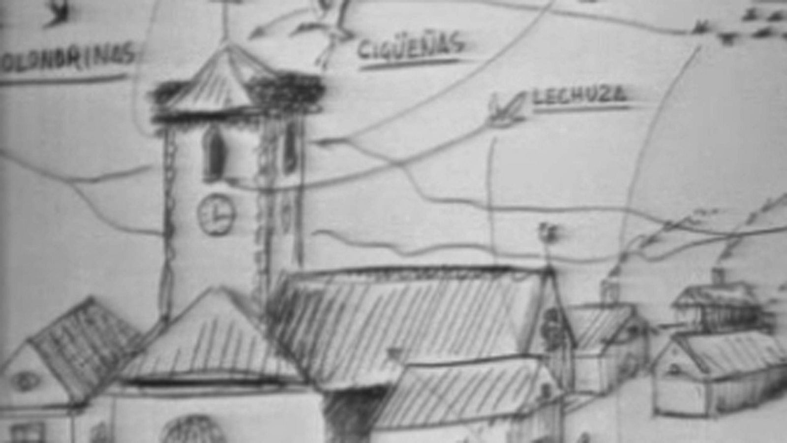 El planeta azul - Pájaros en la ciudad - El planeta azul | Ver