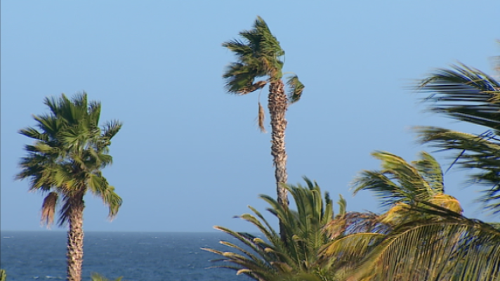 Telecanarias - Telecanarias 2 - 14/02/2019