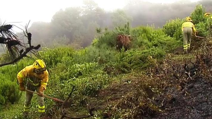 Telecanarias - Canarias en 2' - 15/02/2019