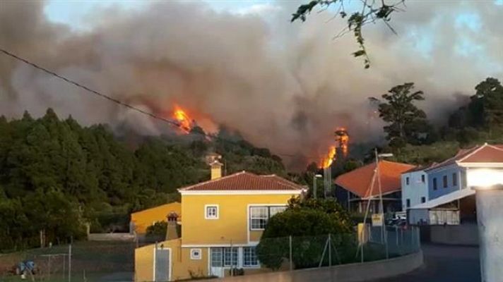 Telecanarias - Telecanarias - 15/02/2019