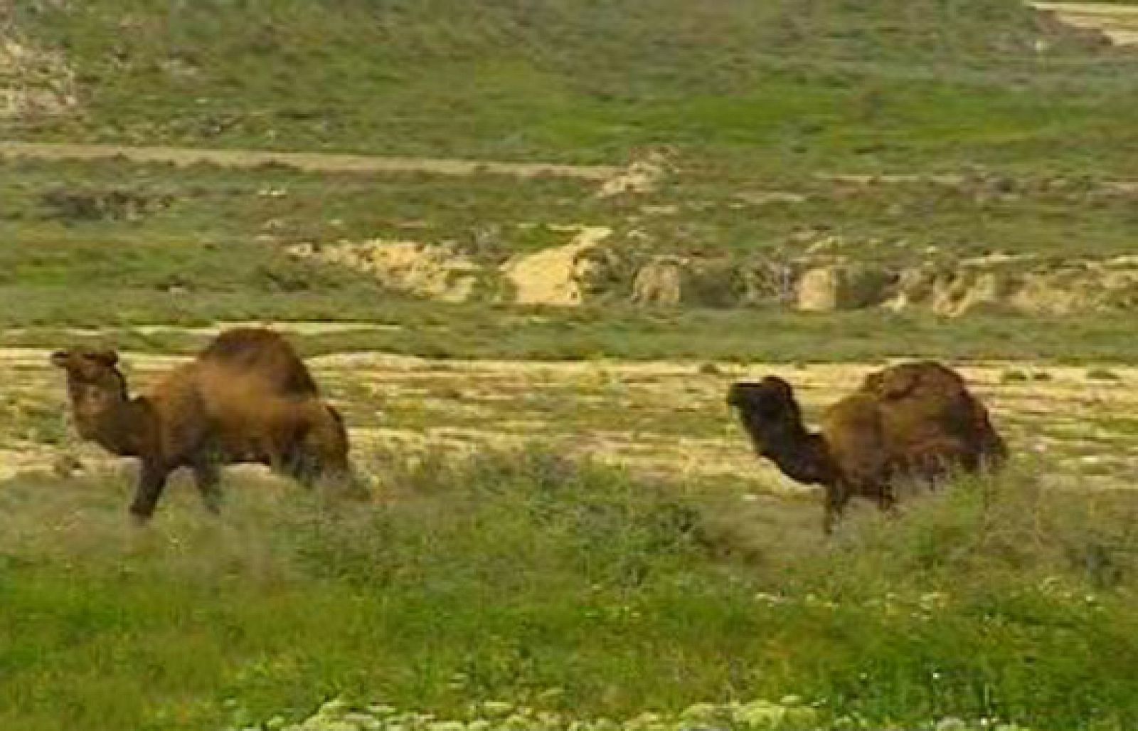 España Directo - El desierto de Los Monegros | Ver