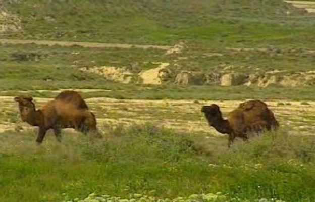 España Directo - El desierto de Los Monegros