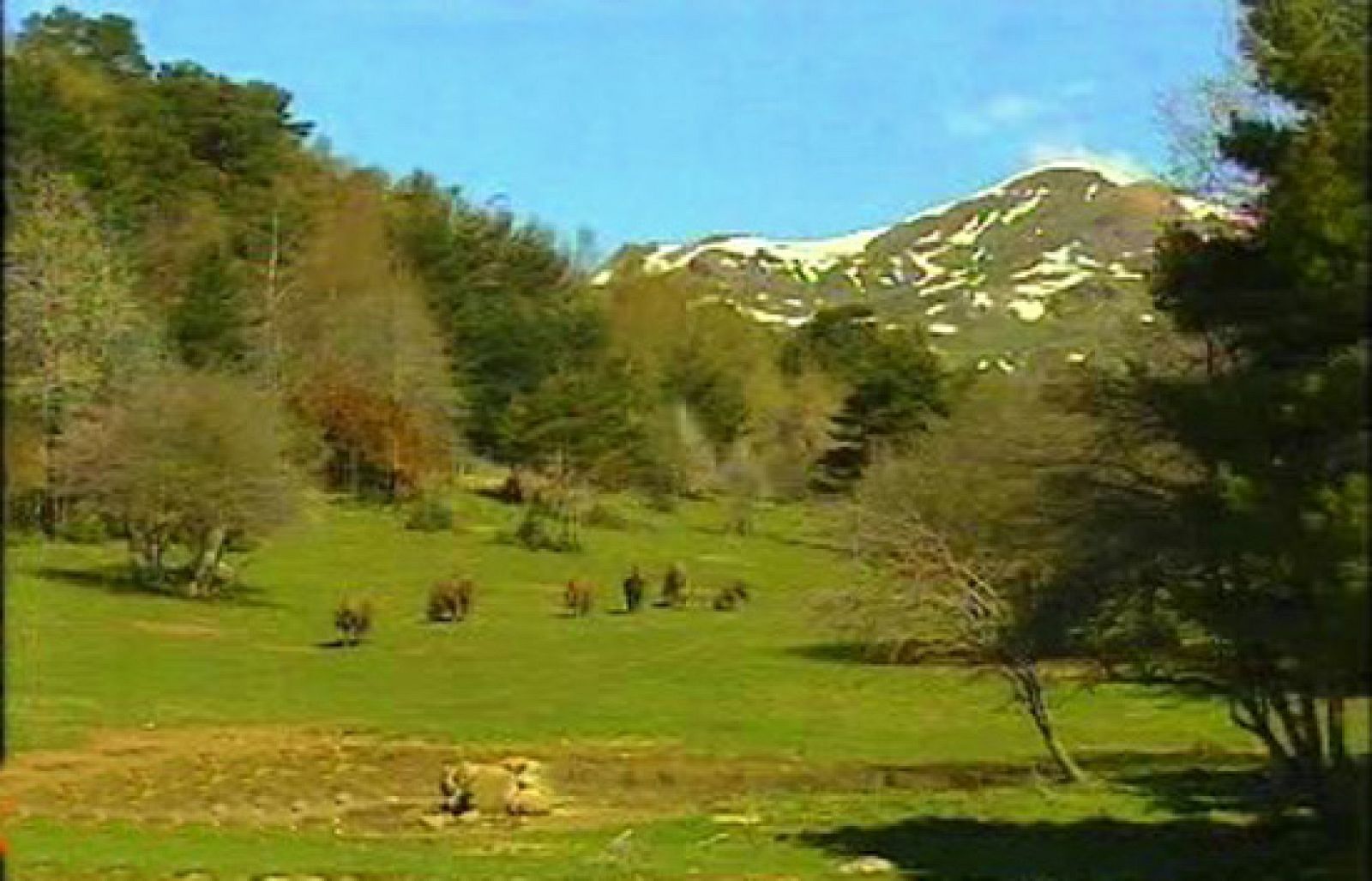 España Directo - El bosque de Piedrahita de Jaca | Ver