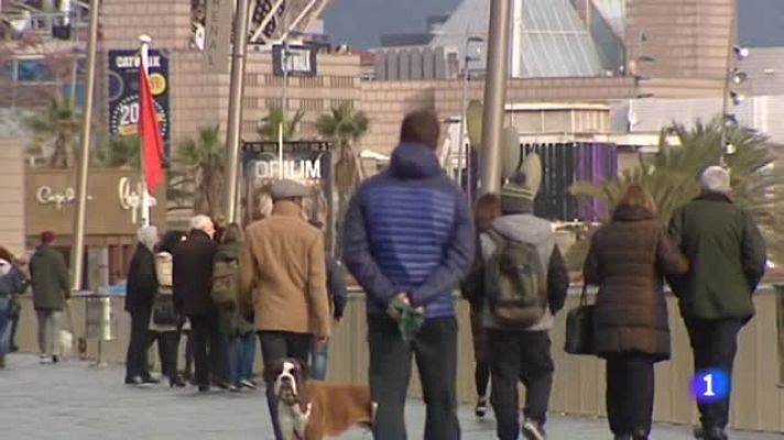 Telediario 1 - Hasta 600 euros de multa por llevar perros sueltos en Barcelona