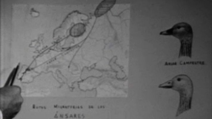 El planeta azul - Viajeros celestes