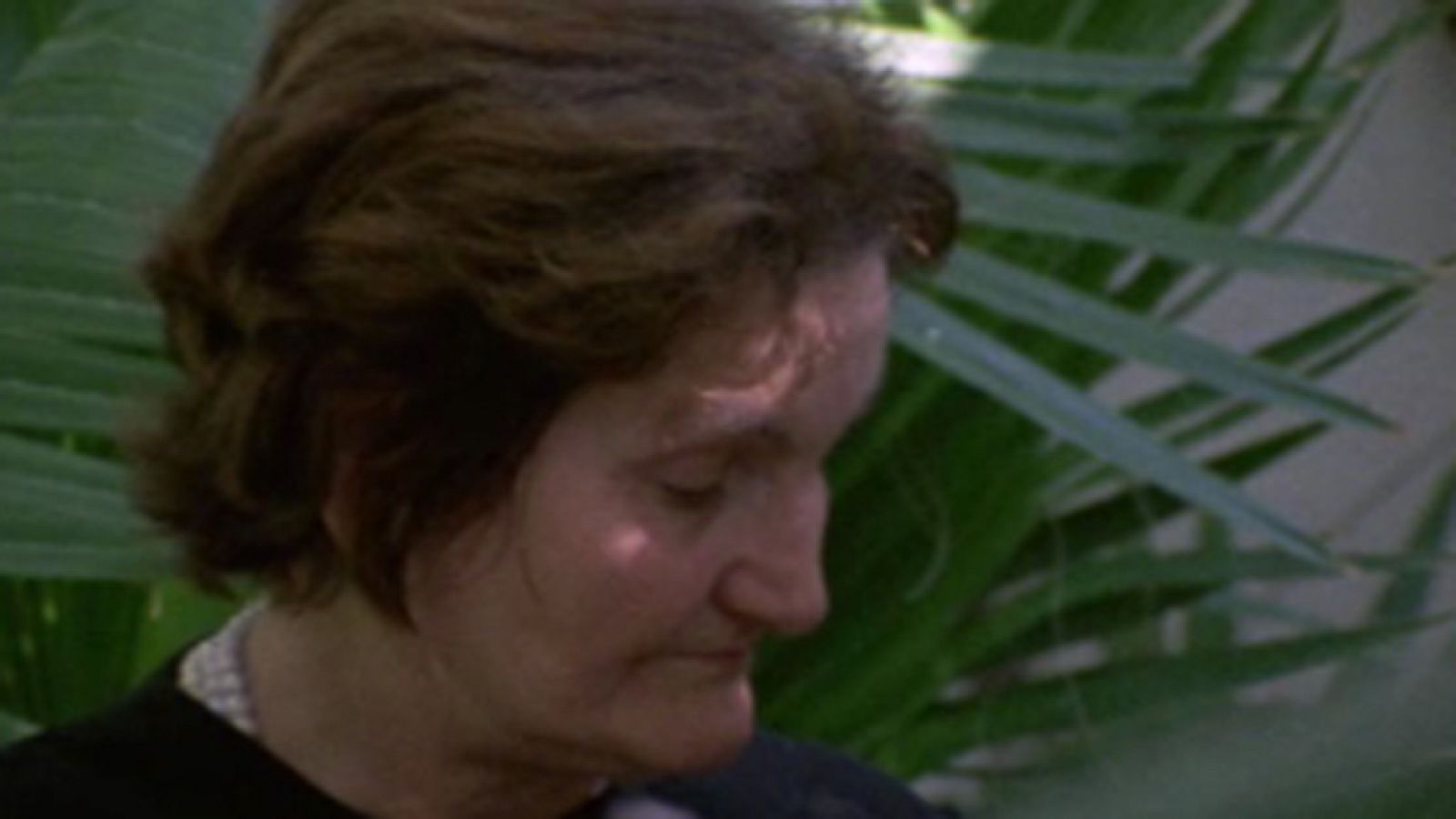 Raíces - La voz antigua (II) - Raíces | Ver