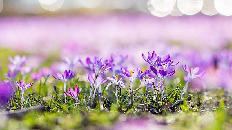 El Tiempo en la Comunidad de Madrid - 18/02/19 - VER AHORA