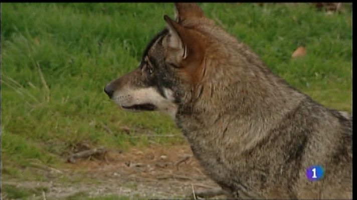 Panorama Regional - Panorama Regional 2 - 18/02/19