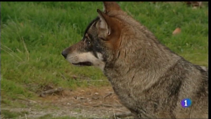 Panorama Regional 2 - 18/02/19 | Ver