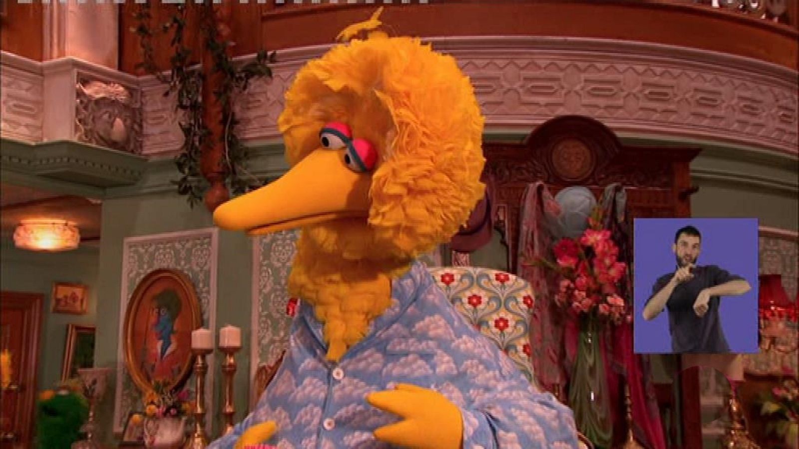 Una sorpresa pajarera - El Hotel Furchester | Ver