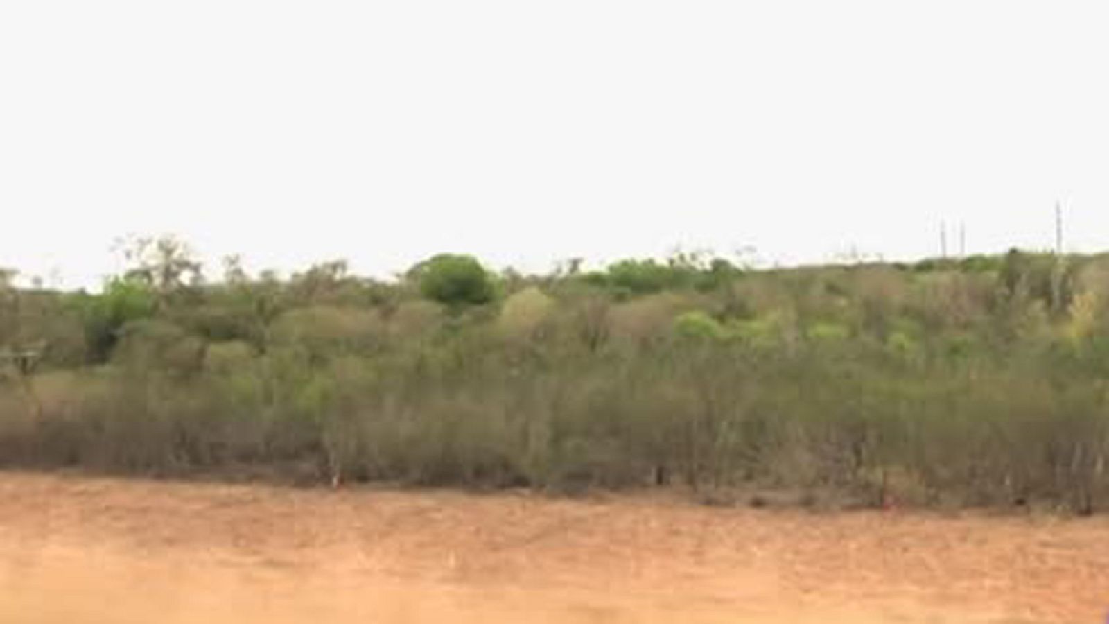 El impacto medioambiental del muro de Trump