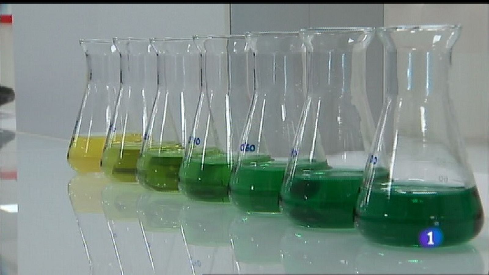 Panorama Regional 2 - 20/02/19 | Ver