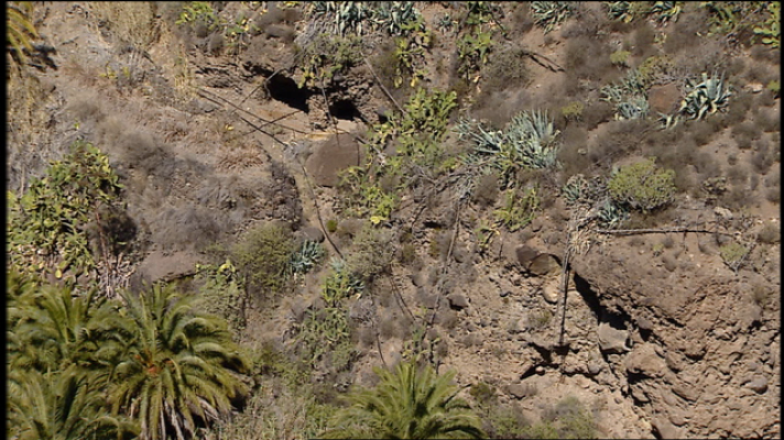 Telecanarias - Telecanarias 2 - 20/02/2019