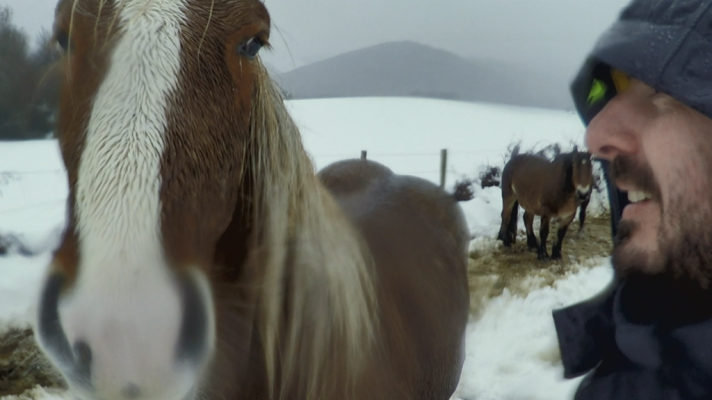 Aquí la Tierra - La excepcional raza Burguete