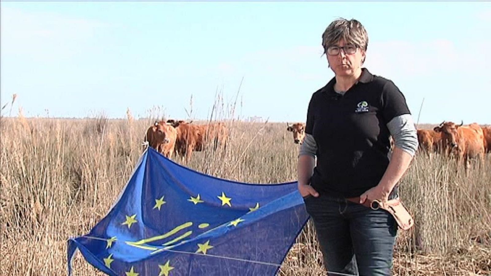 L'Informatiu - Comunitat Valenciana 2 - 21/02/19 - ver ahora