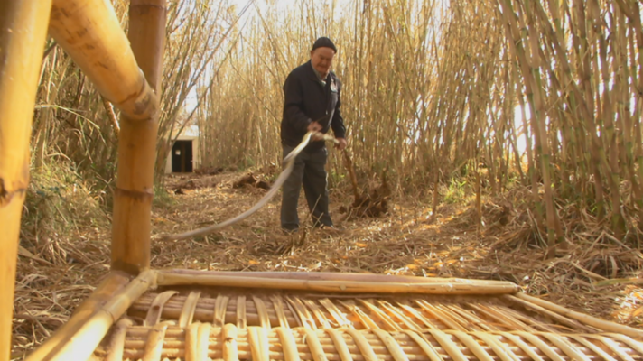 Aquí la Tierra - Santiago, el experto en cañizos
