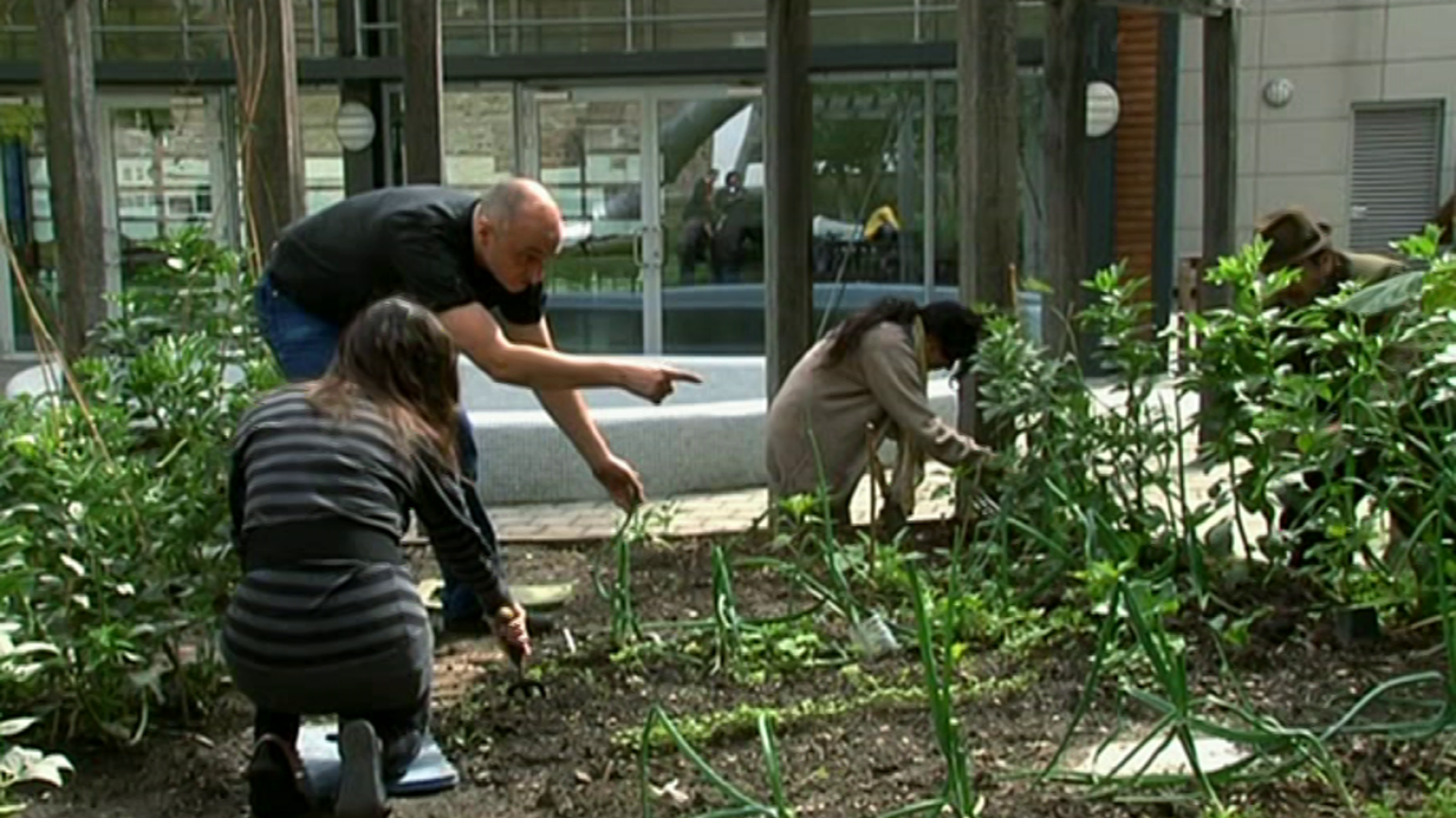 That's English - Module 10 - Unit 6B: Would you like to volunteer your time? - ver ahora