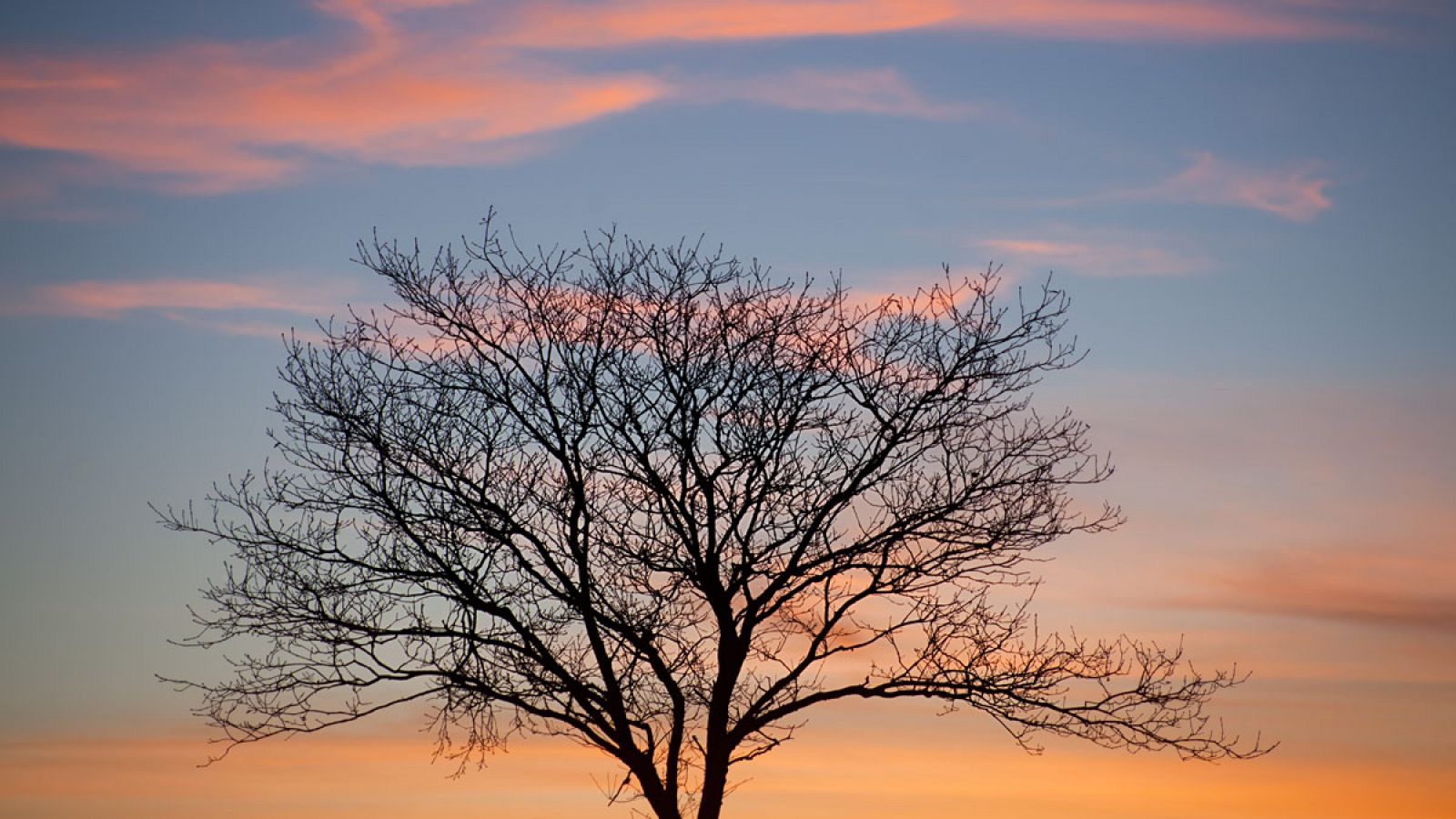 Tiempo estable y poco nuboso