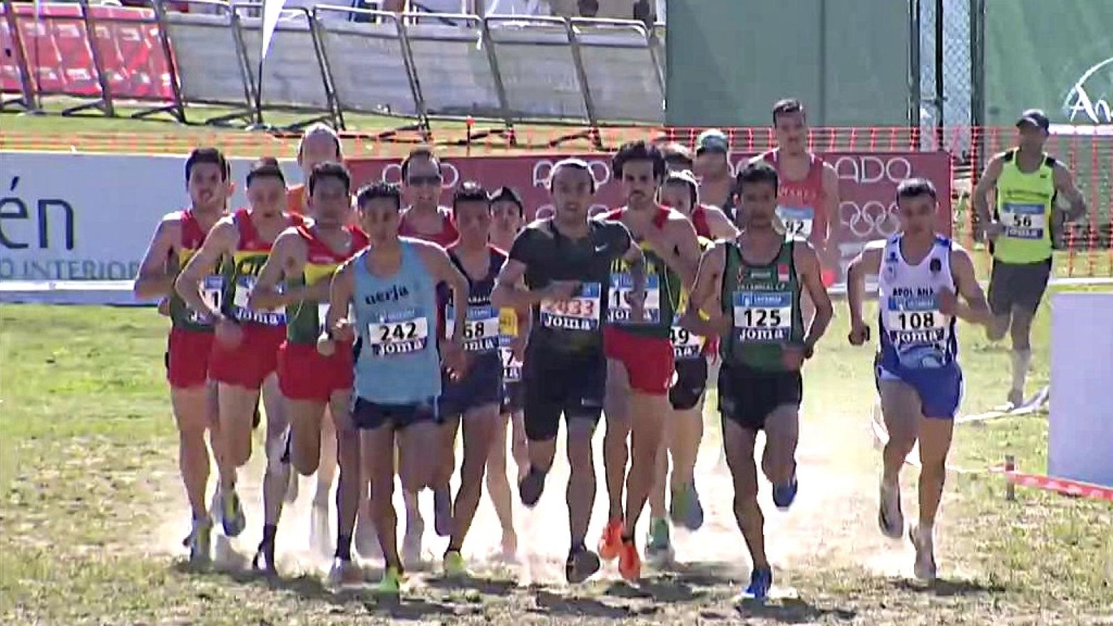 Cross - Campeonato de España de Clubes Carrera Larga Masculina - ver ahora