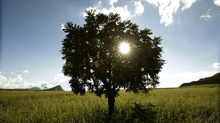 Informativo de Madrid - El Tiempo en la Comunidad de Madrid - 25/02/19