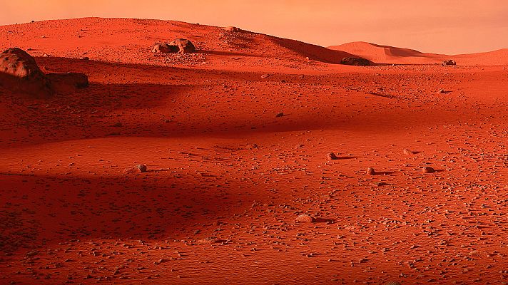 Telediario 1 - La patata, un alimento ideal para cultivar en Marte