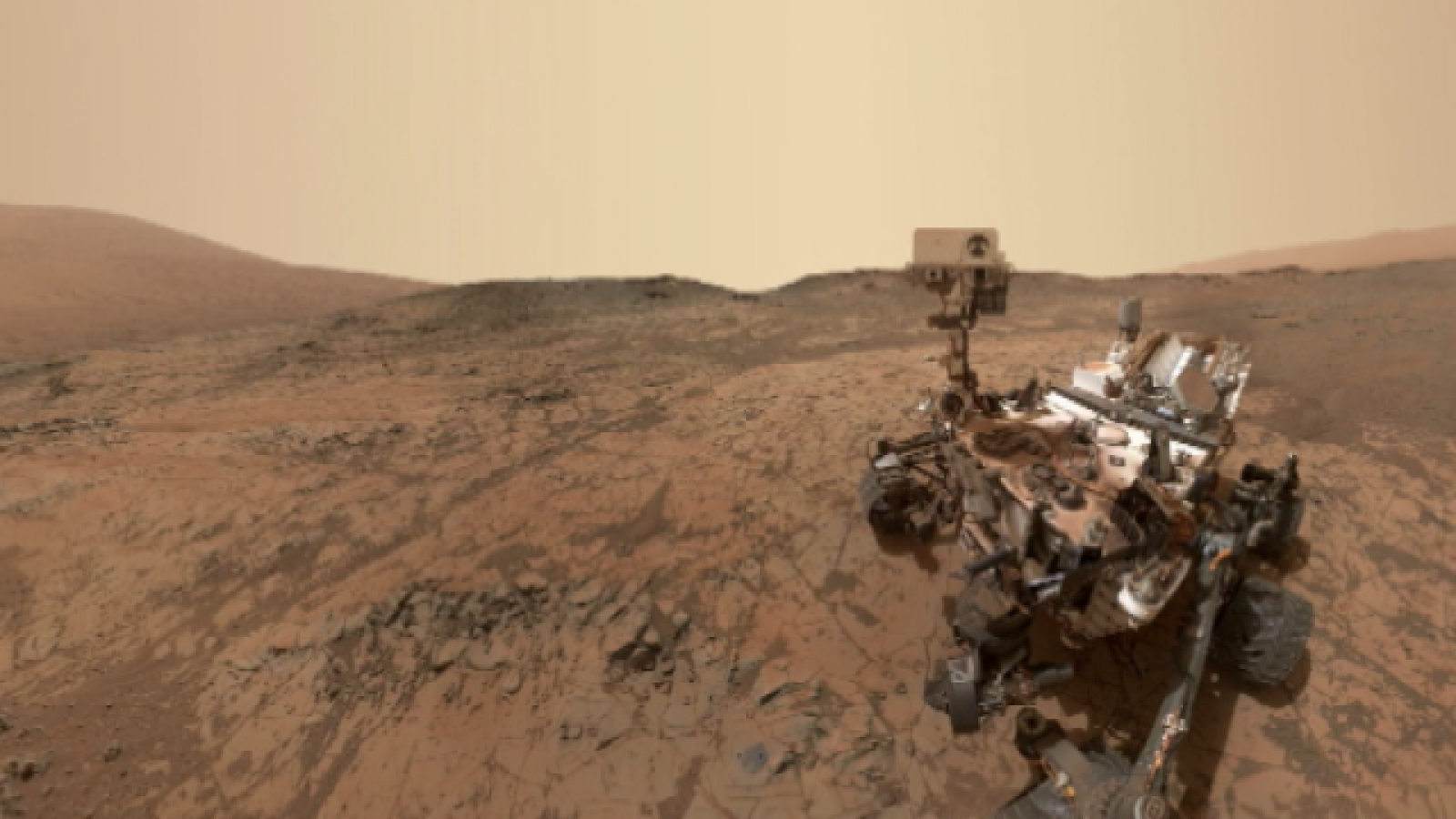 Teleplaneta - 25/02/2019